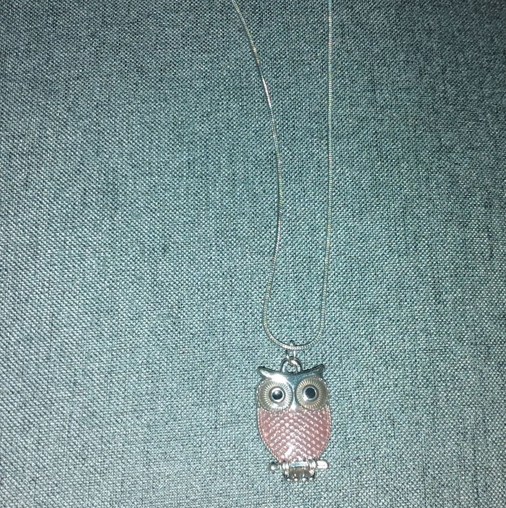 A really cute pink owl necklace.
